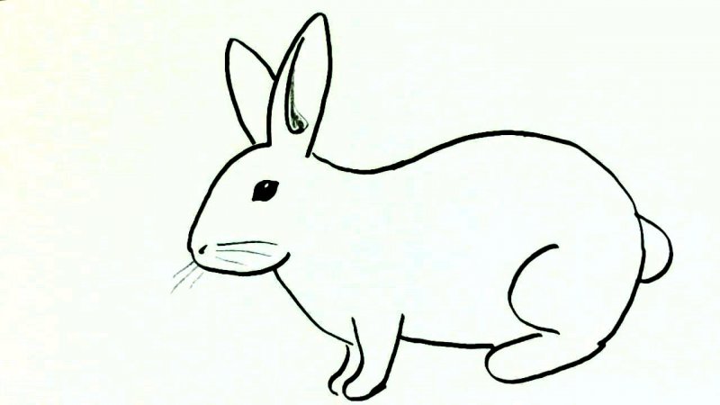 آموزش نقاشی خرگوش کودکانه
