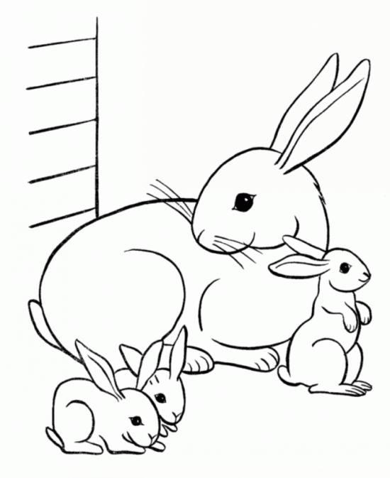 عکس نقاشی خرگوش کوچولو