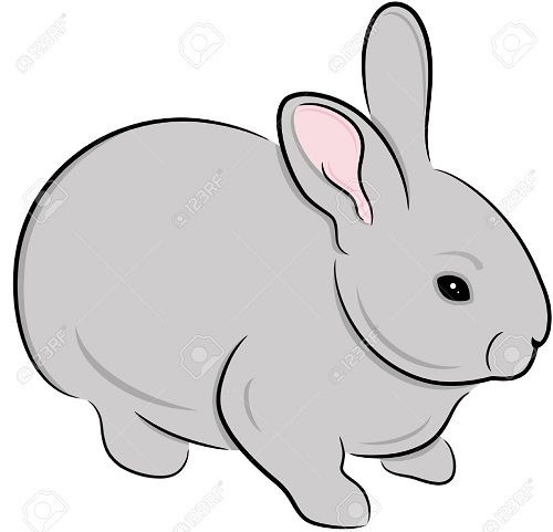 نقاشی فانتزی خرگوش ساده