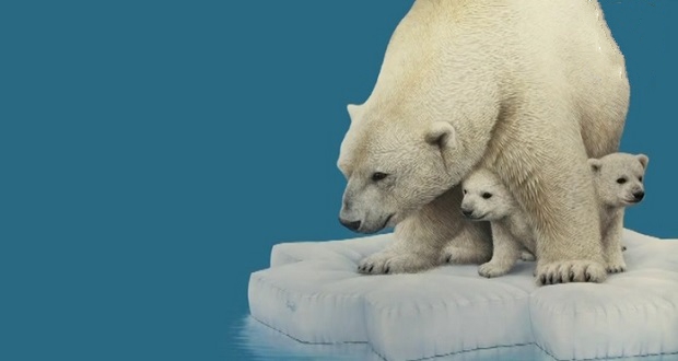نقاشی خرس قطبی ساده