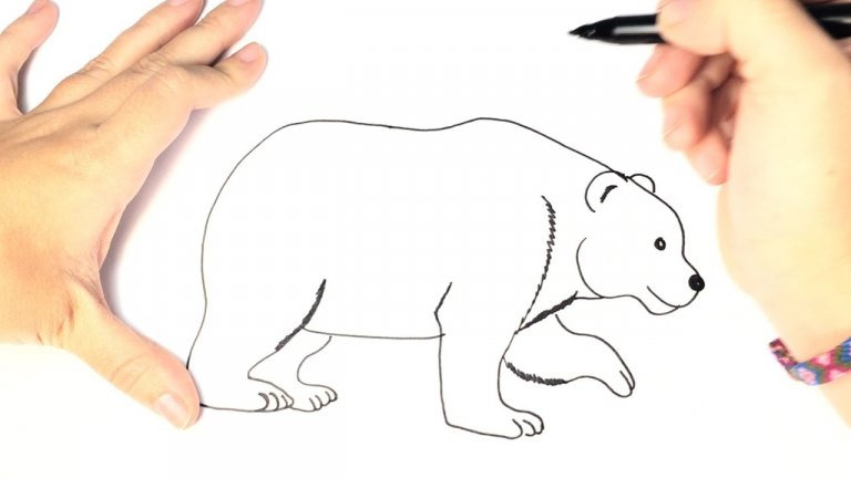 نقاشی خرس قطبی ساده