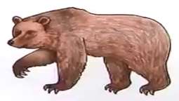 عکس نقاشی خرس قهوه ای