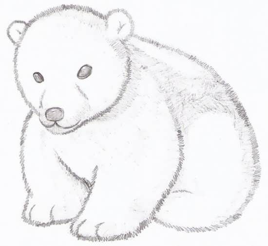 نقاشی کودکانه ی خرس قطبی