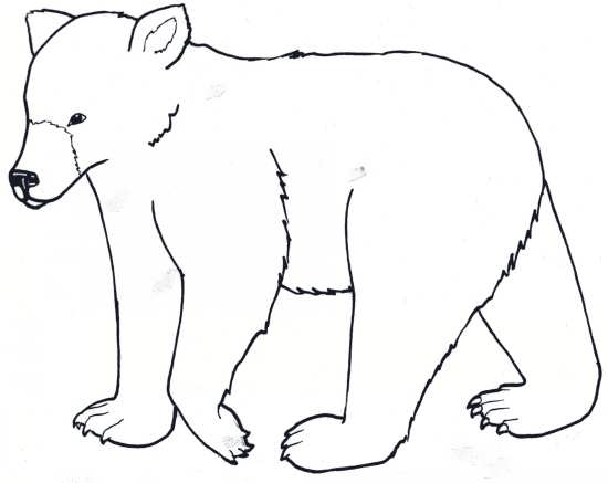 نقاشی خرس قطبی ایستاده