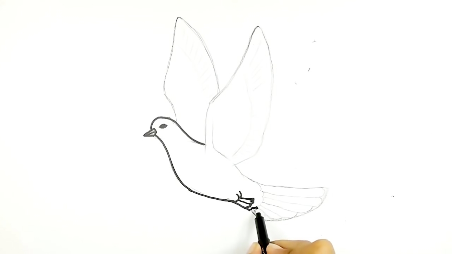 نقاشی کبوتر های حرم
