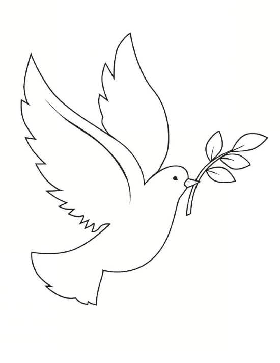 نقاشی کودکانه کبوتر نامه بر
