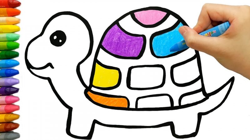نقاشی کودکانه لاک پشت کوچولو