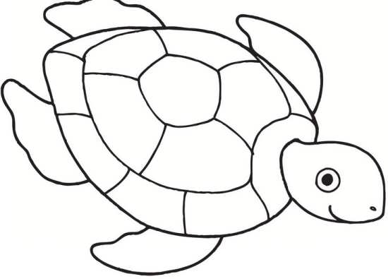 نقاشی کودکانه لاک پشت دریایی