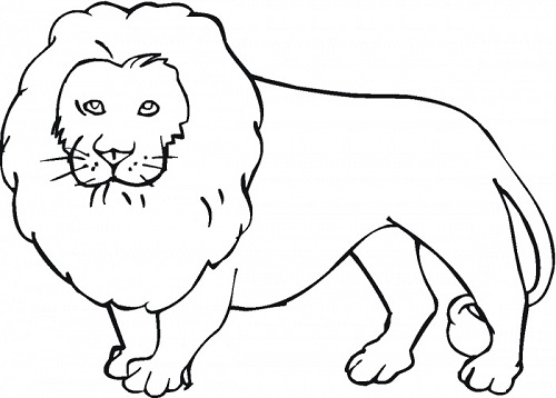 آموزش نقاشی حیوانات وحشی به کودکان