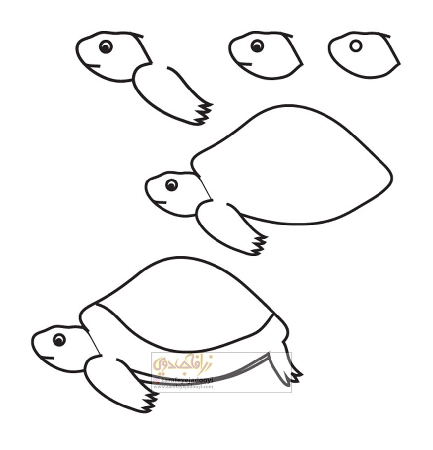 نقاشی ساده از لاک پشت
