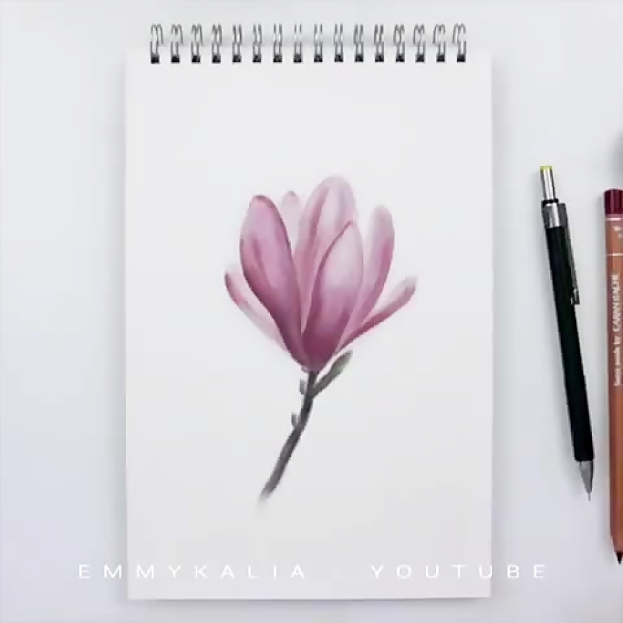 نقاشی مداد رنگی گل رز