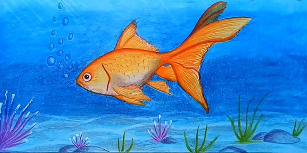 نقاشی ماهی قرمز
