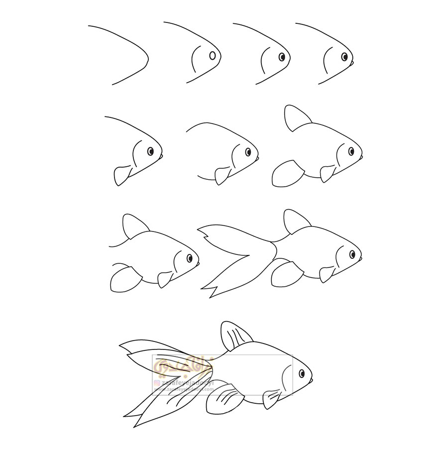 آموزش نقاشی ماهی فانتزی