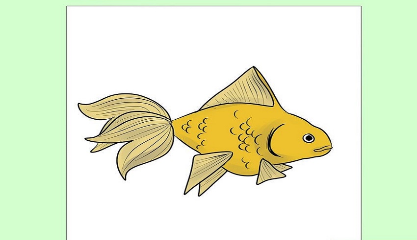 عکس نقاشی ماهی با پولک
