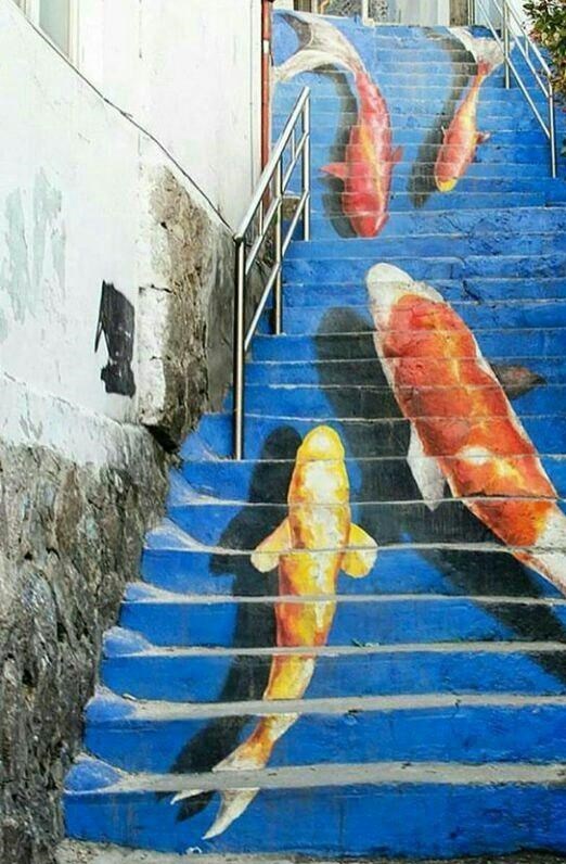 عکس ماهی زیبا برای نقاشی