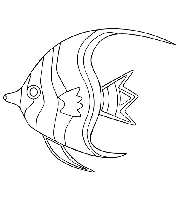 نقاشی کودکانه انواع ماهی ها