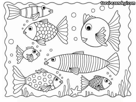 مدل نقاشی ماهی زیبا