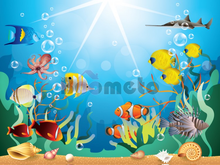 نقاشی ماهی ها در دریا
