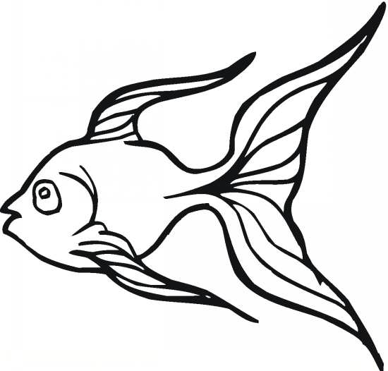 نقاشی ماهی های فانتزی