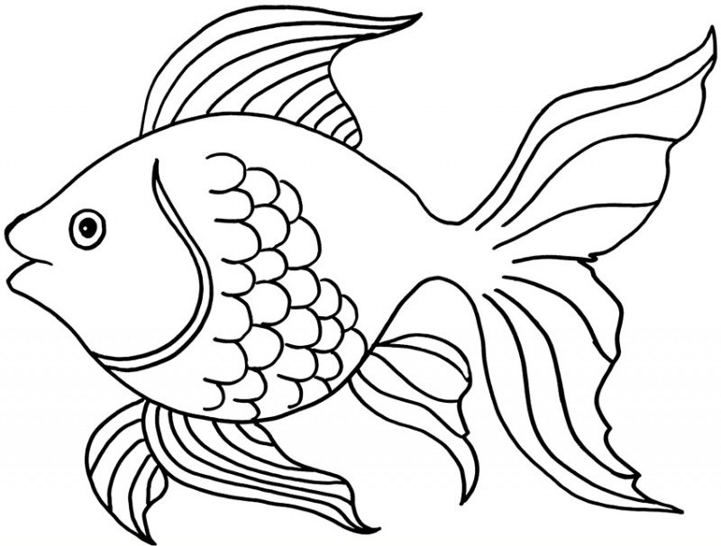 عکس نقاشی ماهی با پولک
