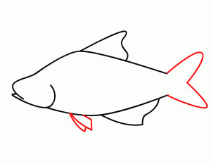 کشیدن نقاشی ماهی کودکانه