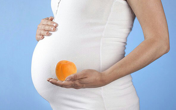 خوردن زردآلو و گیلاس در بارداری
